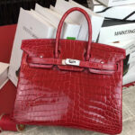 Hermes Birkin 25 Crocodile leather Red
